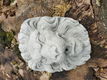waterspuwer ,waterfontein ,leeuw - 5 - Thumbnail