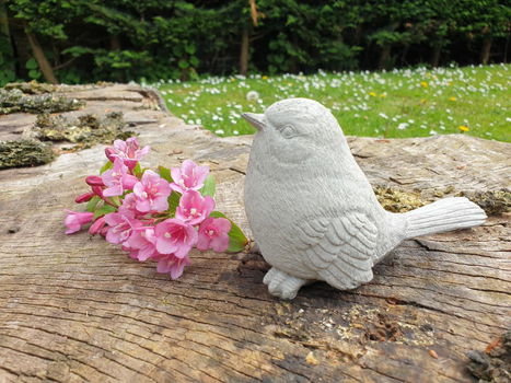 Lief tuinbeeldje van een mus , vogel - 1