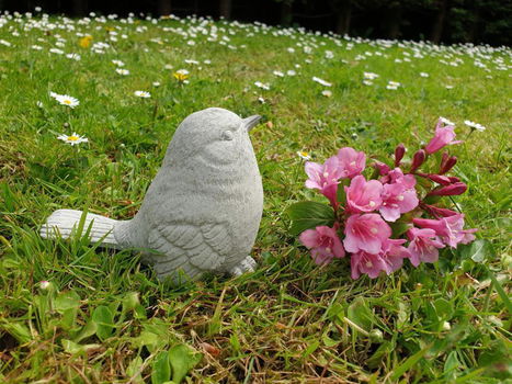 Lief tuinbeeldje van een mus , vogel - 6