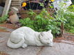 tuinbeeld poes , daisy , aanbieding - 1 - Thumbnail