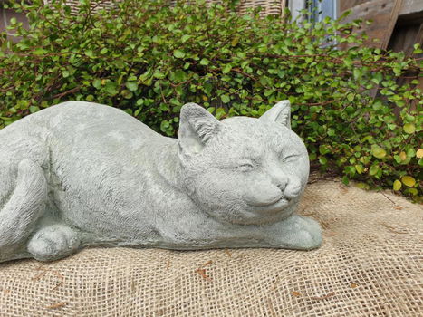 tuinbeeld poes , daisy , aanbieding - 4