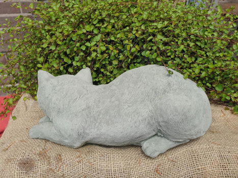 tuinbeeld poes , daisy , aanbieding - 5