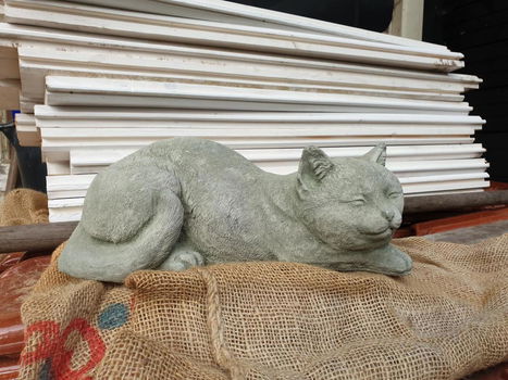 tuinbeeld poes , daisy , aanbieding - 6