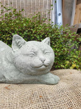 tuinbeeld poes , daisy , aanbieding - 7