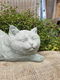 tuinbeeld poes , daisy , aanbieding - 7 - Thumbnail