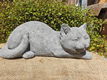 tuinbeeld poes , chintia , sale - 0 - Thumbnail