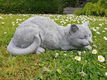 tuinbeeld poes , chintia , sale - 1 - Thumbnail