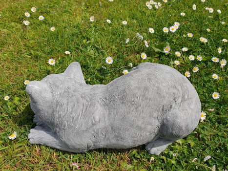 tuinbeeld poes , chintia , sale - 2