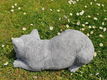 tuinbeeld poes , chintia , sale - 2 - Thumbnail