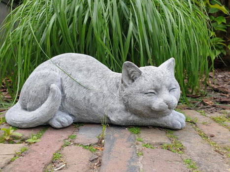 tuinbeeld poes , chintia , sale - 4