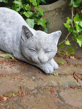 tuinbeeld poes , chintia , sale - 6