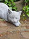 tuinbeeld poes , chintia , sale - 6 - Thumbnail