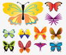 Vlinders - A4 scrapbooking print A - 0 - Thumbnail