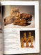 Christie's Amsterdam. Indonesian Art 16 March 2004 - 5 - Thumbnail