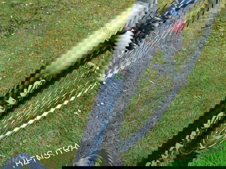 Gazelle Grenoble | FM57 | 7V | Damesfiets | Terugtrap rem - 4