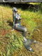 zeemeermin , claudine - 0 - Thumbnail