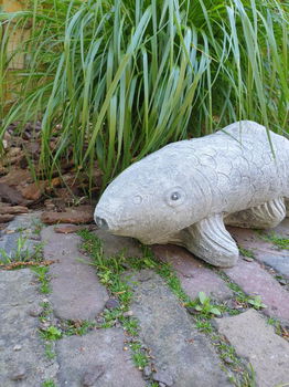 tuinbeeld van een koi karper , aanbieding - 4