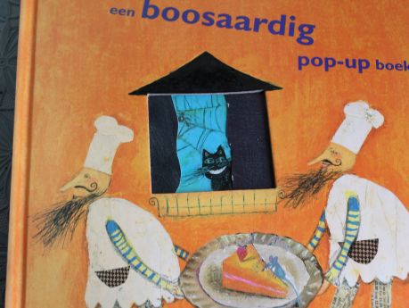 Zelda de heks is jarig een boosaardig - pop-up boek - 2