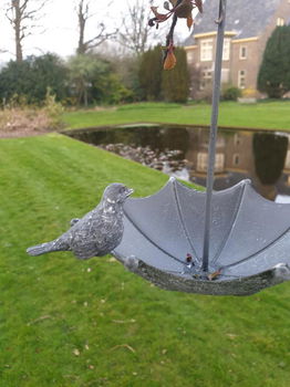 vogelvoederbakje , vogelbad , aanbieding - 4