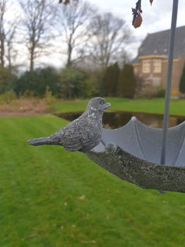 vogelvoederbakje , vogelbad , aanbieding - 5