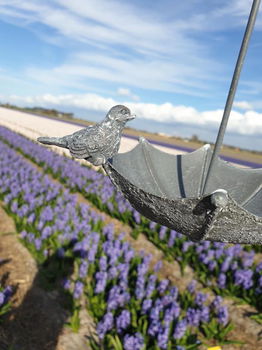 vogelvoederbakje , vogelbad , aanbieding - 7