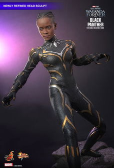 Hot Toys MMS675 Black Panther Wakanda Forever Black Panther