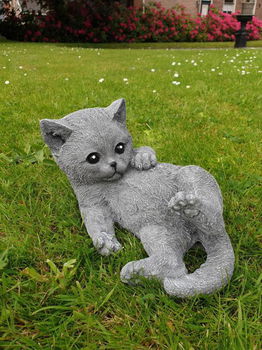 tuinbeeld, poes , kat , kado,aanbieding - 0