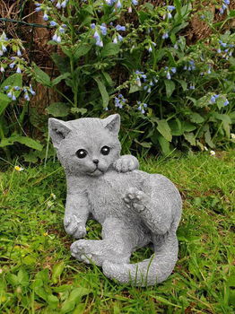 tuinbeeld, poes , kat , kado,aanbieding - 2