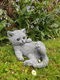 tuinbeeld, poes , kat , kado,aanbieding - 3 - Thumbnail