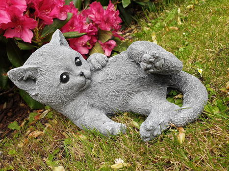 tuinbeeld, poes , kat , kado,aanbieding - 6