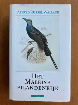 Het Maleise eilandenrijk - Alfred Russel Wallace - 0