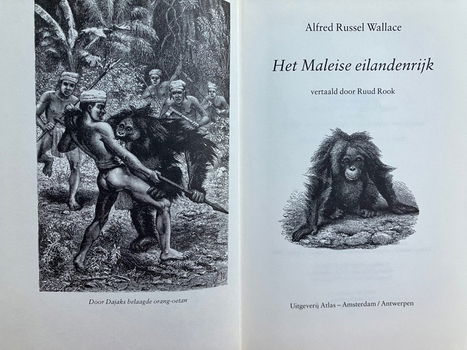 Het Maleise eilandenrijk - Alfred Russel Wallace - 2