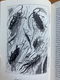 Het Maleise eilandenrijk - Alfred Russel Wallace - 3 - Thumbnail