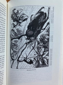 Het Maleise eilandenrijk - Alfred Russel Wallace - 4