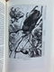 Het Maleise eilandenrijk - Alfred Russel Wallace - 4 - Thumbnail