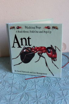 Ant - a read-about, fold-out and pop-up
