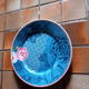 Pip, servies - diverse borden, met een heeeeele kleine beschadiging, gebruikerssporen - 2 - Thumbnail
