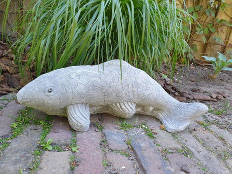 koi karper , tuinbeeld , kado - 0