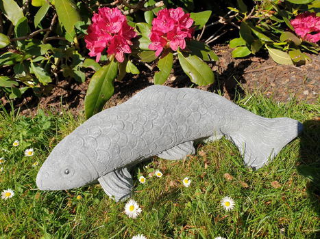 koi karper , tuinbeeld , kado - 6
