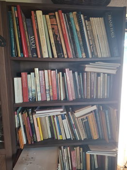 Boekencollectie kunst literatuur en meer - 0