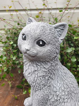 beeld van een kat / poes , beton - 0