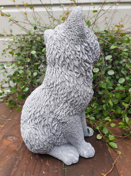 beeld van een kat / poes , beton - 1