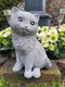 beeld van een kat / poes , beton - 2 - Thumbnail