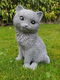 beeld van een kat / poes , beton - 3 - Thumbnail