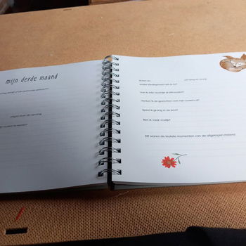Baby's eerste jaar boek - - 1