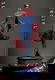 Hot Toys MMS715 The Flash Supergirl - 1 - Thumbnail