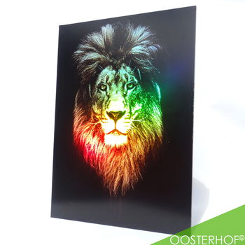 Leeuw met Regenboog Glinster Effect | 65 x 76 cm | UNIEK - 1