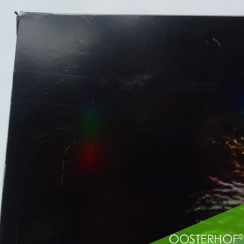 Leeuw met Regenboog Glinster Effect | 65 x 76 cm | UNIEK - 6