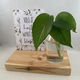 decoratie set houten standaard & quote kaart & vaasje adv 6 - 2 - Thumbnail