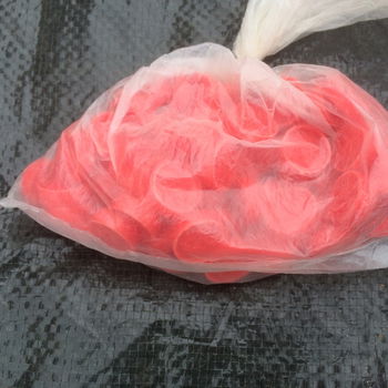 Bingonummertjes 0,99 euro +32495577180 - 1
